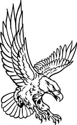 eagle3