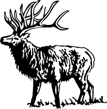 elk01