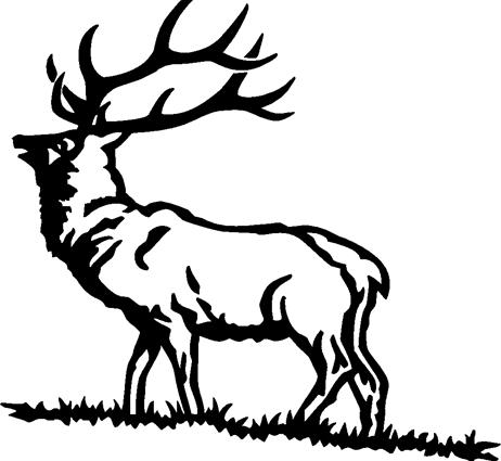 elk03