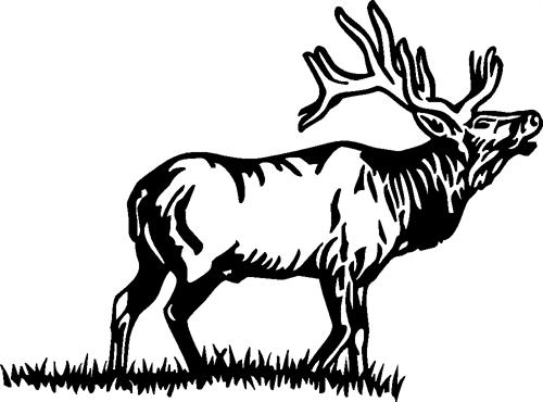 elk05