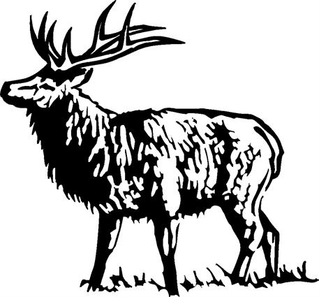 elk09