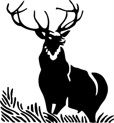 elk22