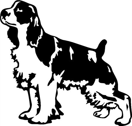 english-springer-spaniel