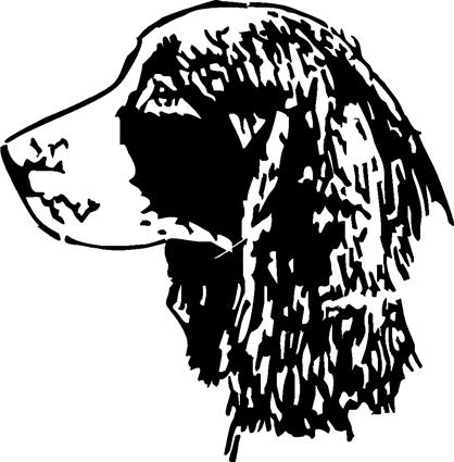 english-springer-spaniel02