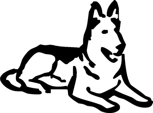 german-shepherd03