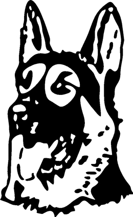 german-shepherd11