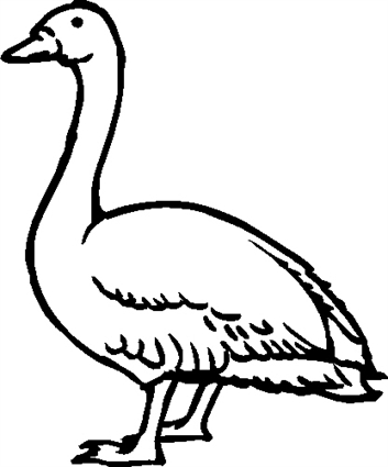 goose02