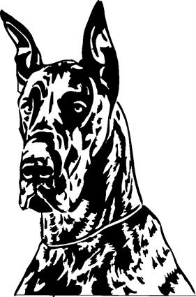 great-dane01