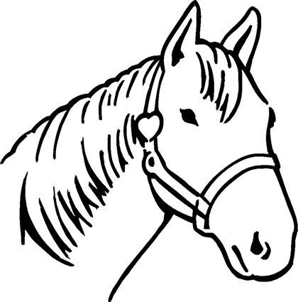 horse31