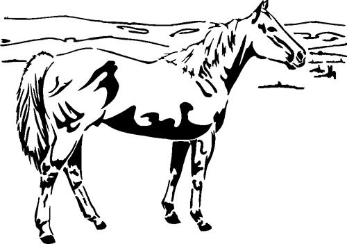 horse45