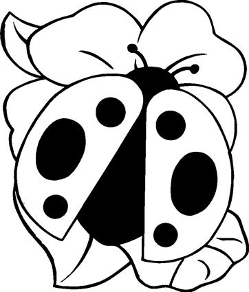 lady-bugs02