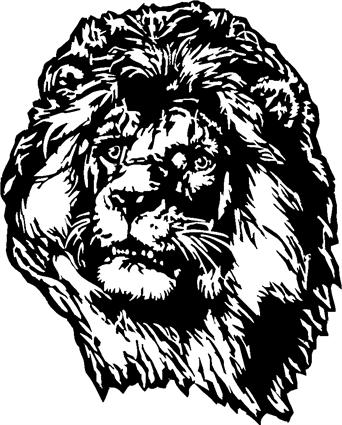 lion06