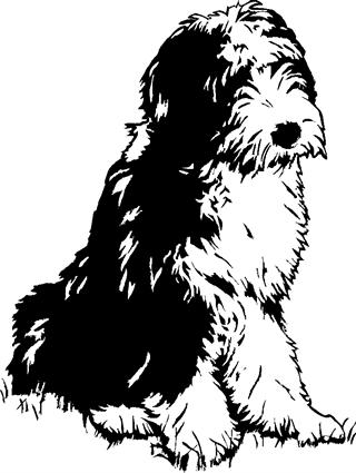 old-english-sheepdog01