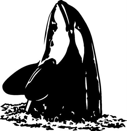 orca03