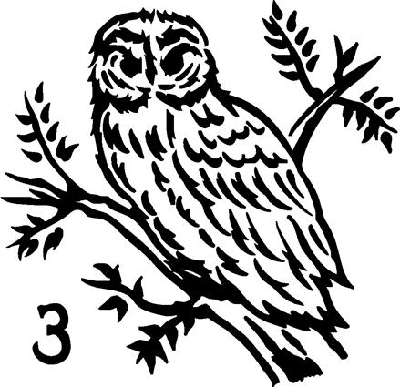 owl10