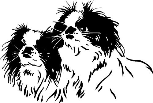 pekingese03