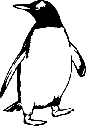 penguin