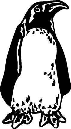 penguin02