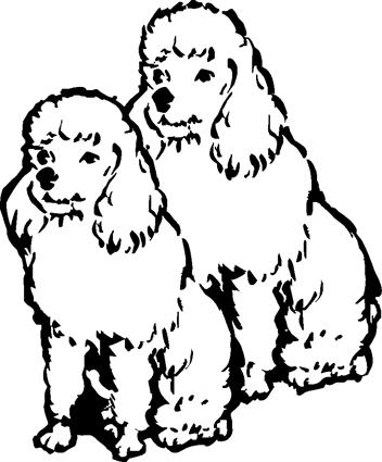 poodles01