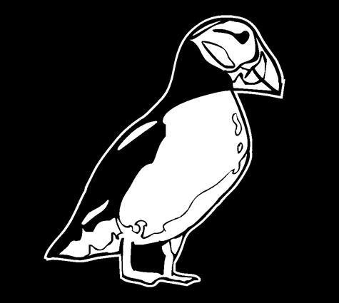 puffin2-tri-tone