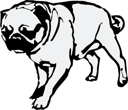 pug01