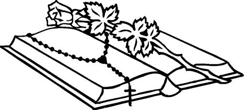 rose-with-bible02