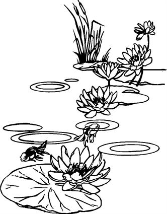 lilypads03