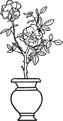 roses-in-vase07