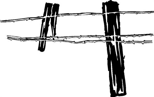 barb-wire-fence