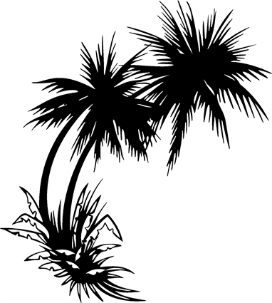 palm-trees