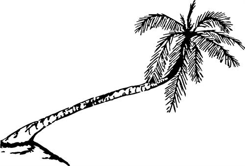 palm04