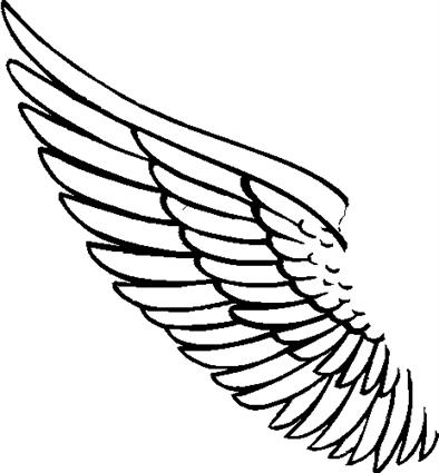 angel-wing