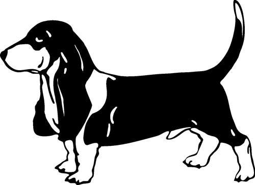 basset-hound02