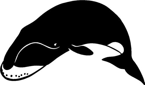 bowhead-whale