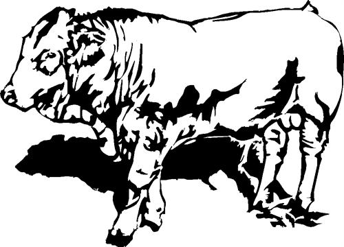 bull01-2