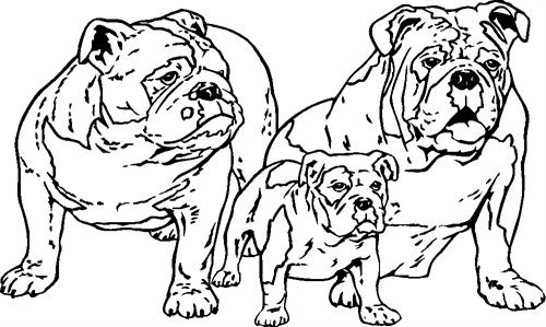 bulldogs-2