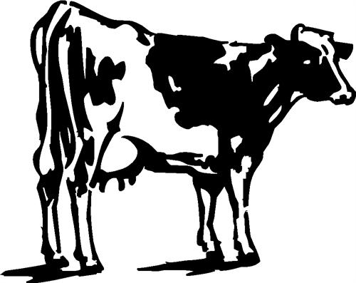 cow04