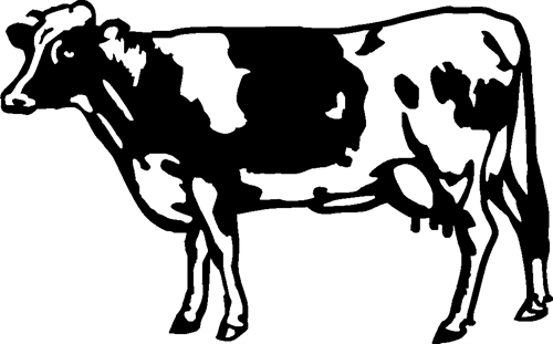 cow08