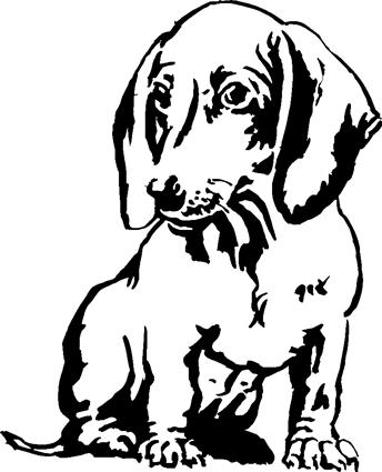 dachshund04