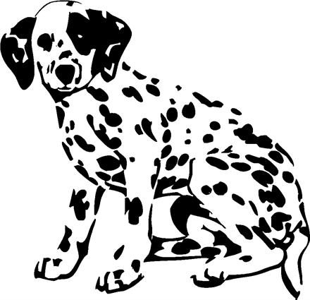 dalmation02