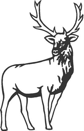 deer07