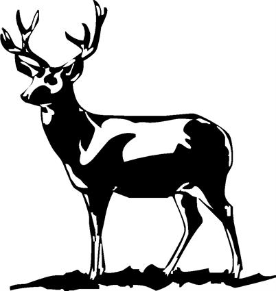 deer38