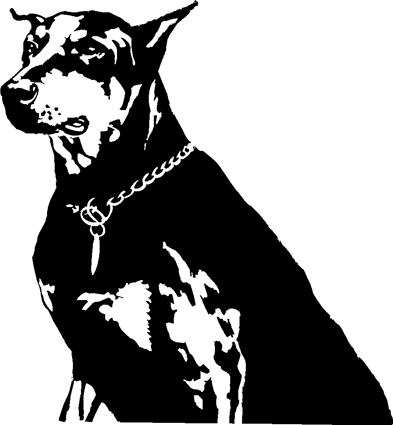 doberman-pinscher02