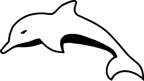 dolphin02